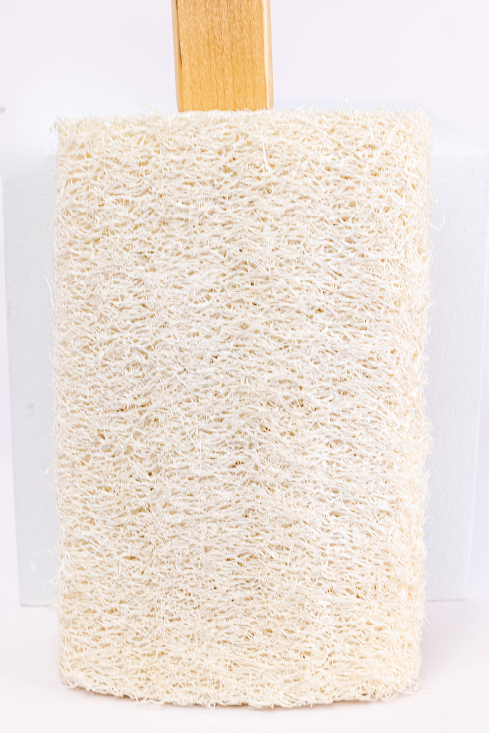 Nautral Loofah