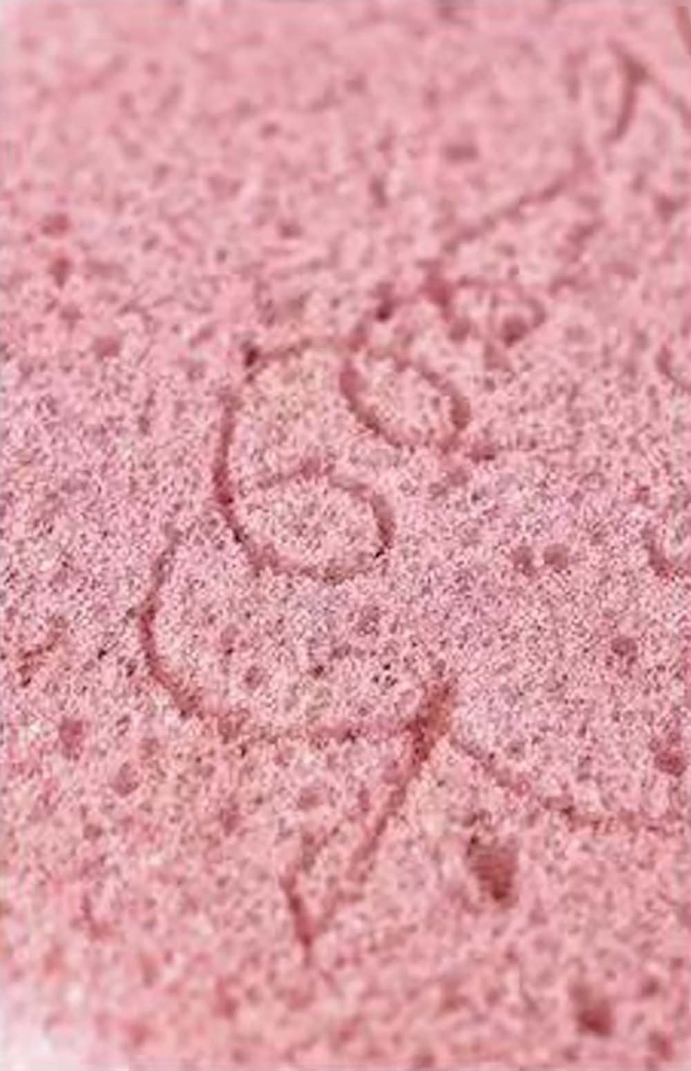 Facial Clean Sponge