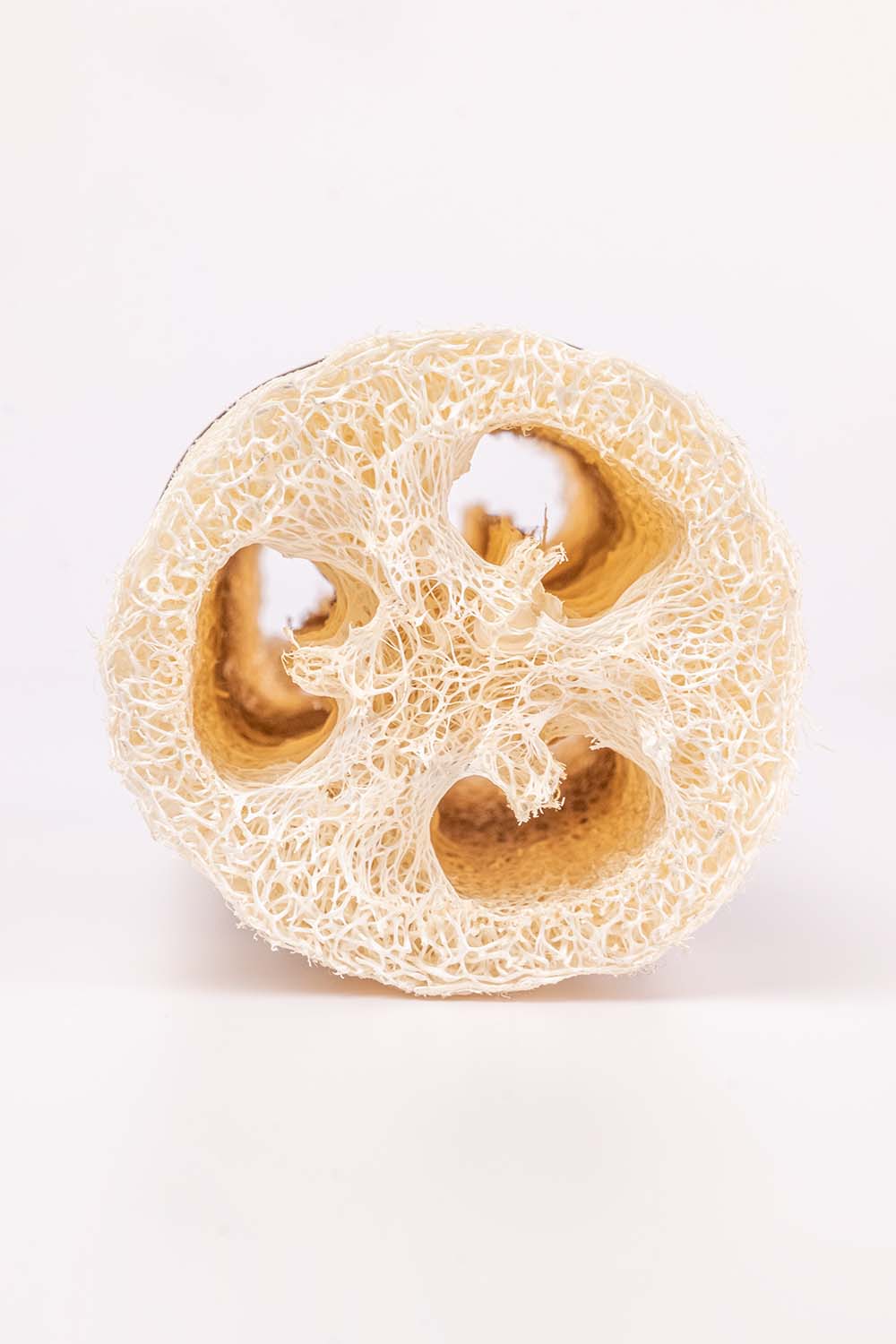 Loofah