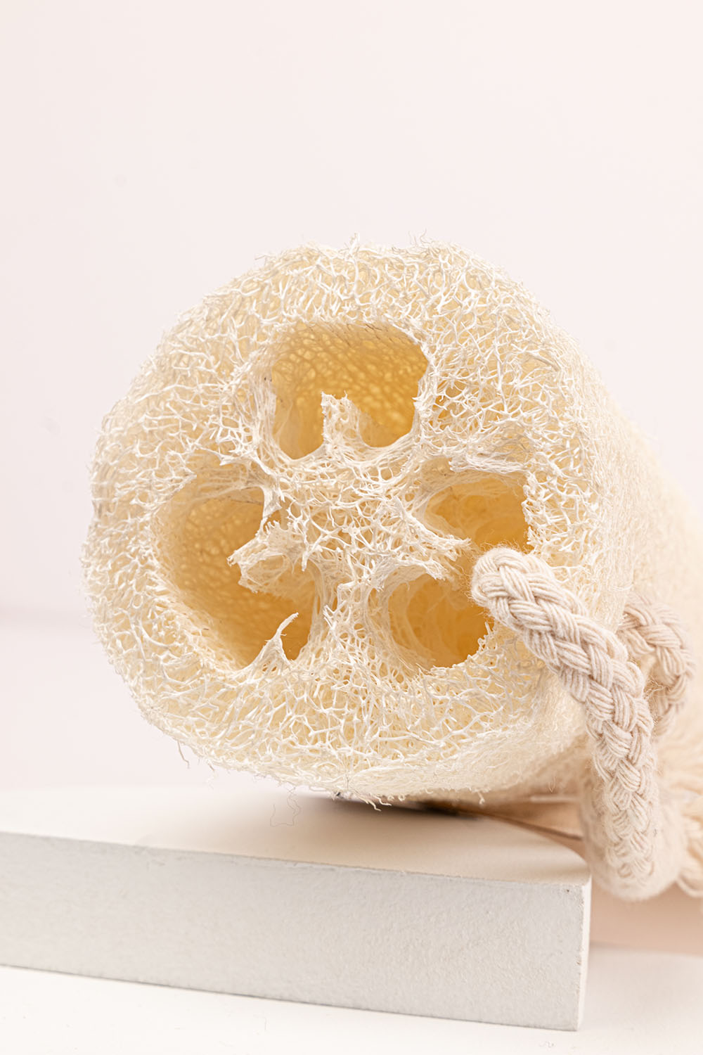 Loofah
