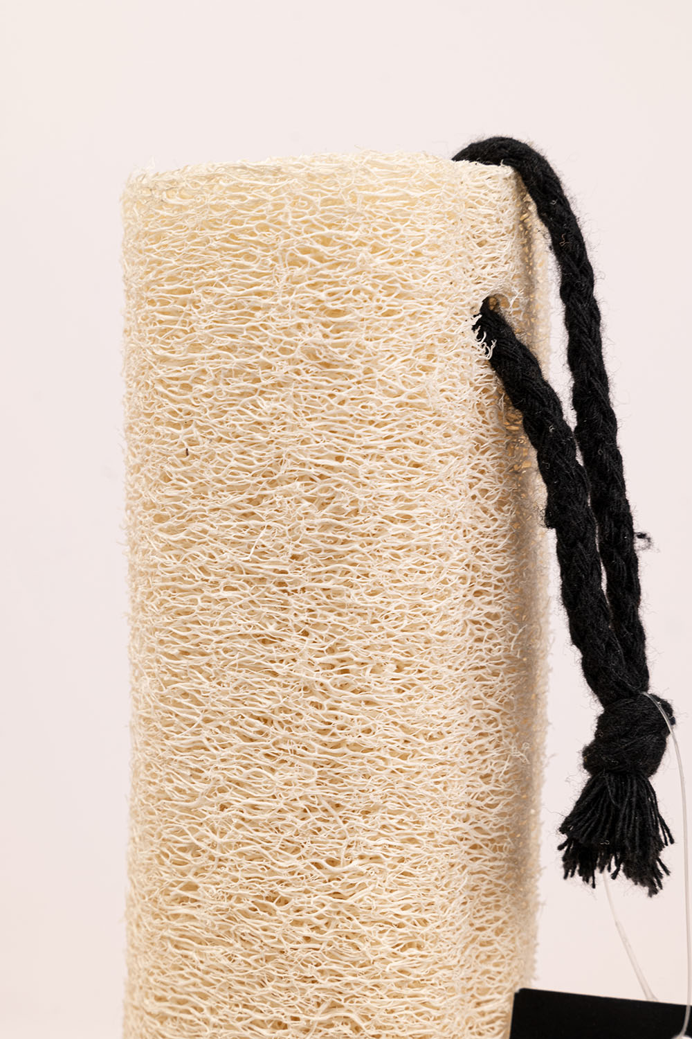 Loofah